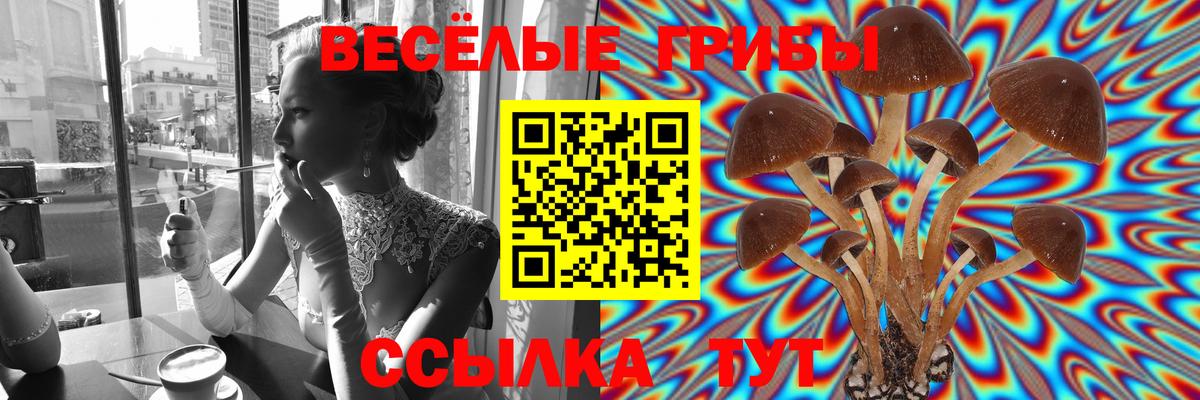 Псилоцибиновые грибы ЛСД  Вход с VPN  Чебаркуль 