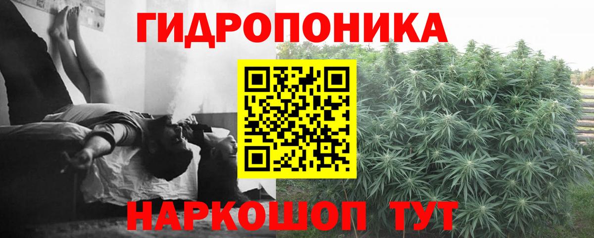 Каннабис индика Чебаркуль